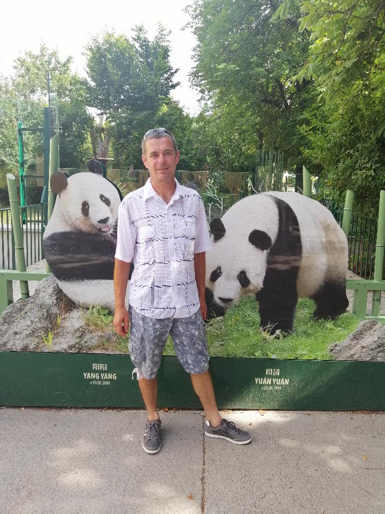 Attila-patilla, 56