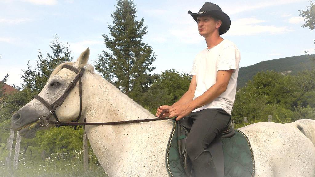 Horse1, 47