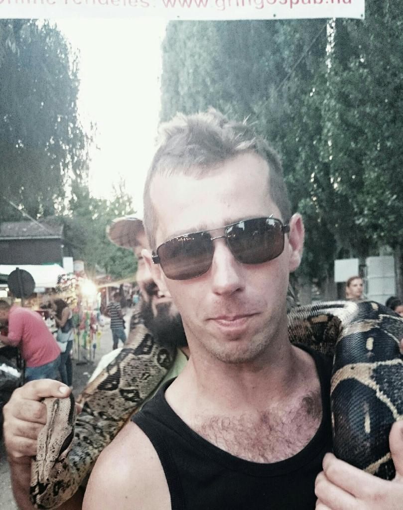 lion, 41