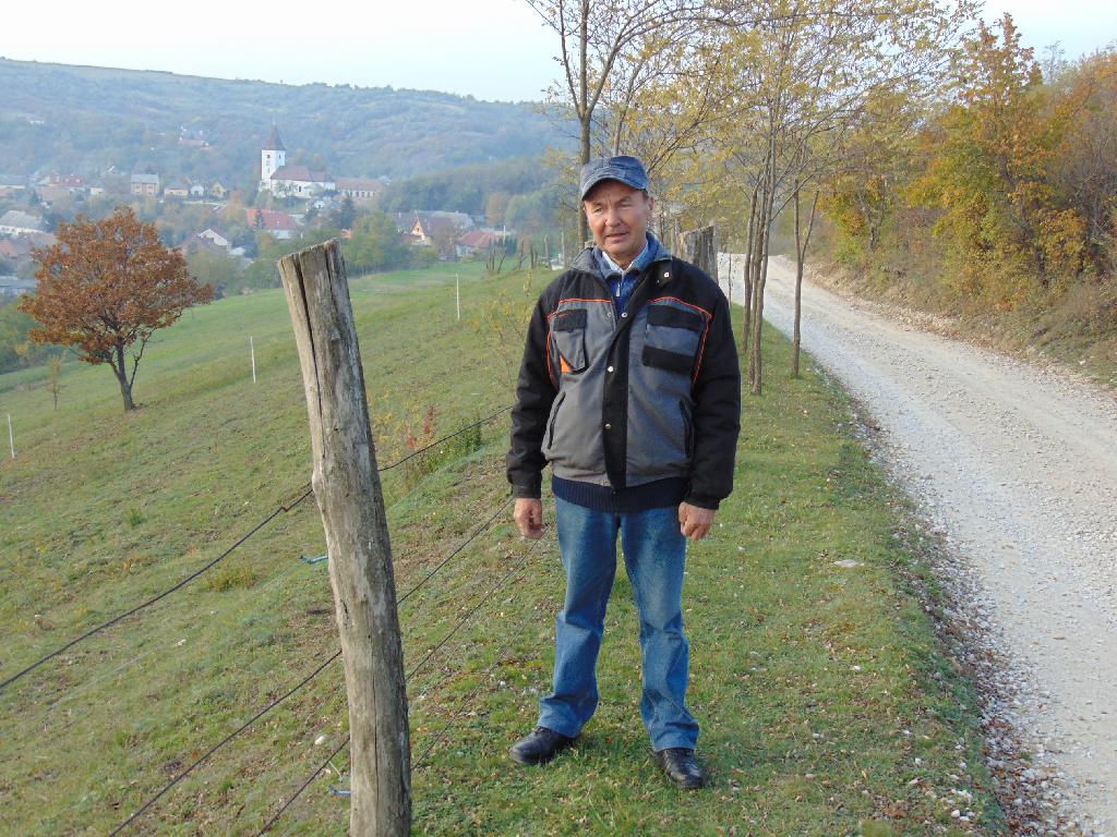 tiborjozsef, 68