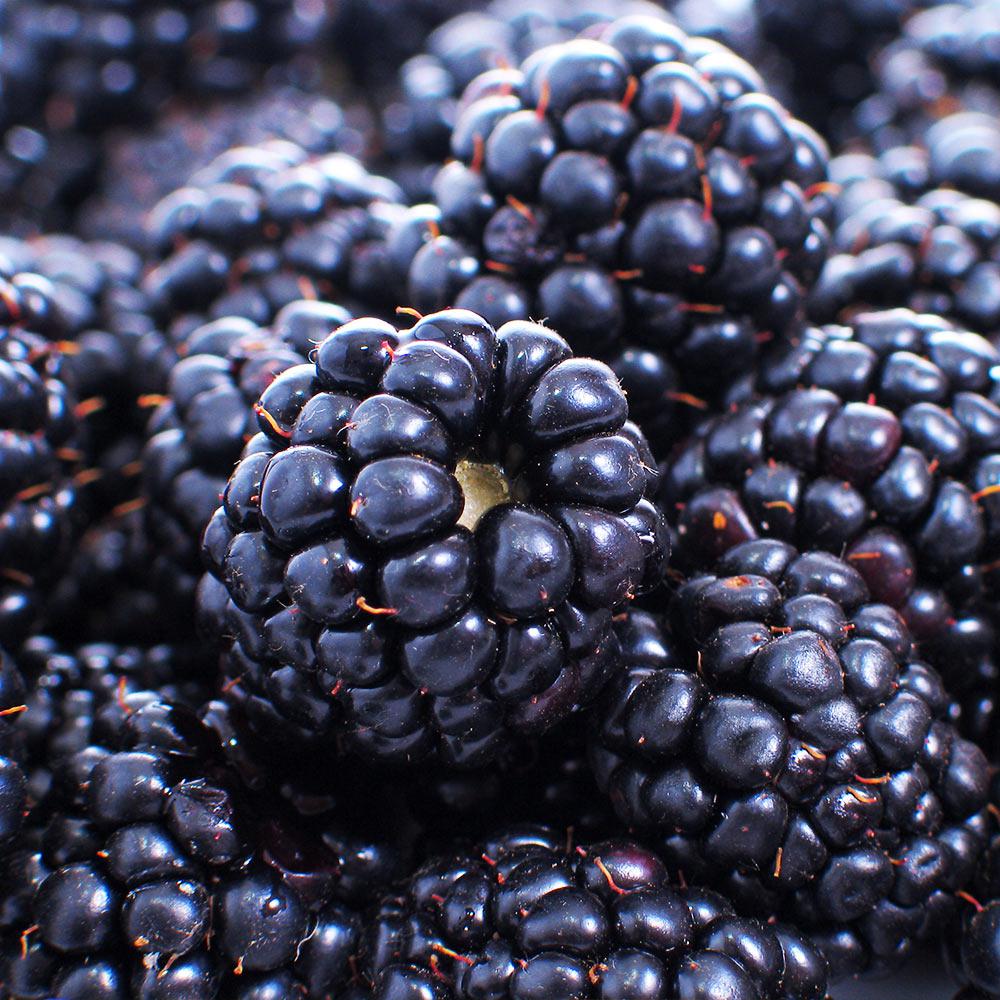 Blackberry23, 41